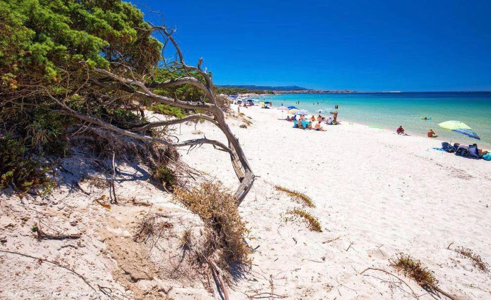 Appartamento a pochi passi dalla spiaggia Alghero Esterno foto
